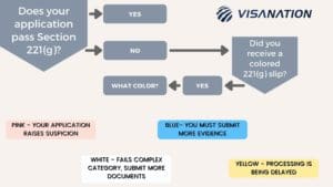 Decision Chart for Section 221g of the INA 