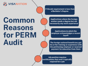 perm audit common reasons chart 2023