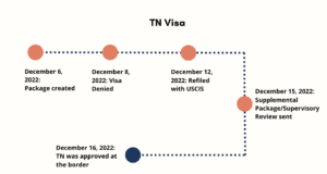 tn visa success story