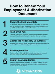 how to renew your ead 